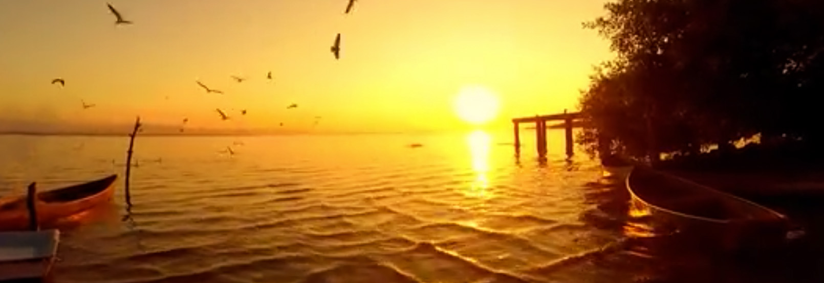 banner